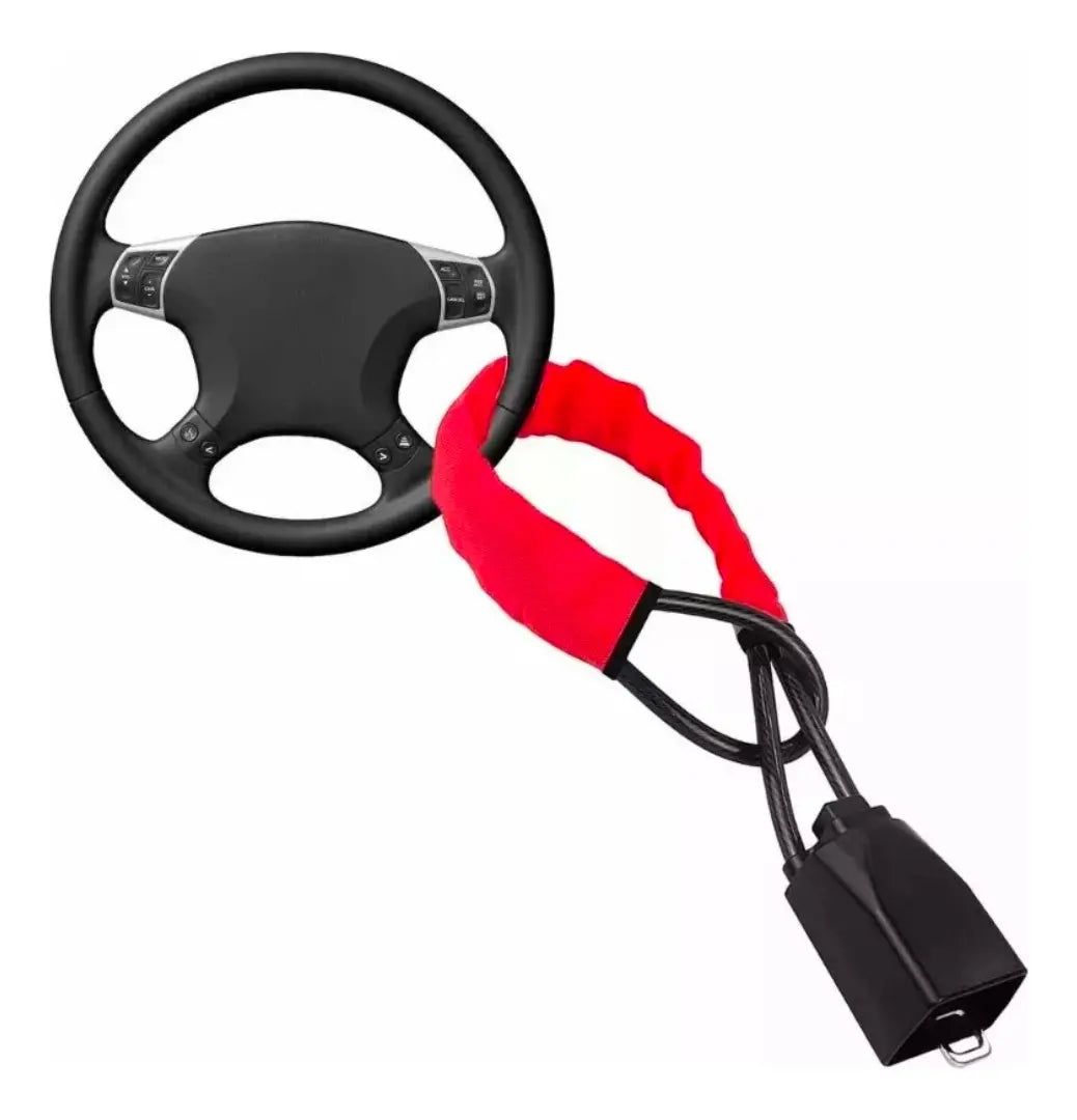 Tranca antirrobo instalada en el auto